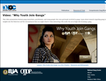 Toolkit: Gang Investigation, Prevention, And Prosecution Resources